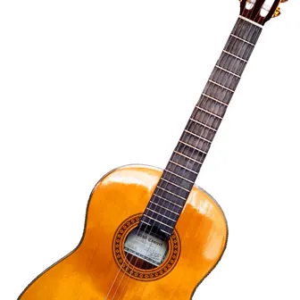 guitar