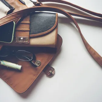 handbag