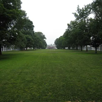 lawn