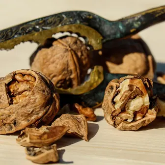 nut