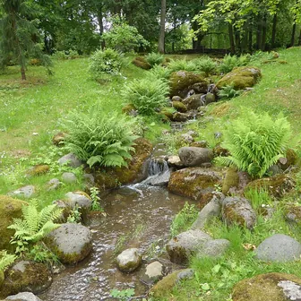 stream